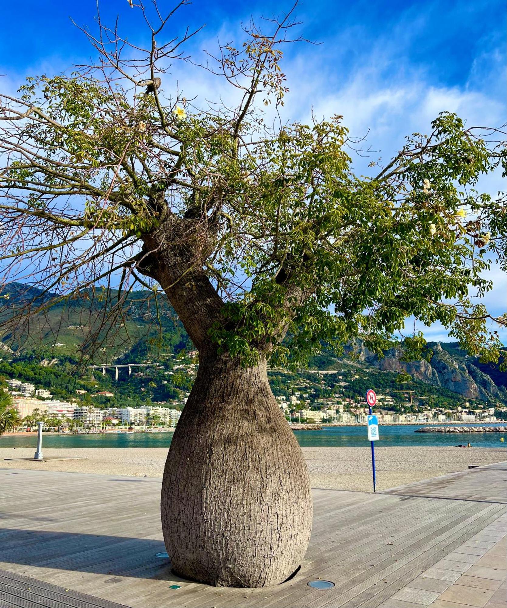 Magnifique Duplex Vue Mer Menton Exteriér fotografie